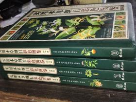 实用本草纲目彩色图鉴（全4卷）