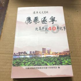 遂宁文史资料第二十九辑 腾飞遂宁 改革开放40年纪事