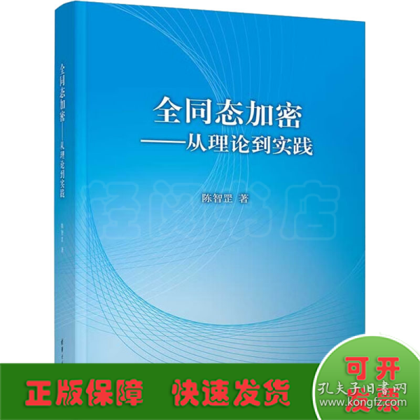 全同态加密——从理论到实践