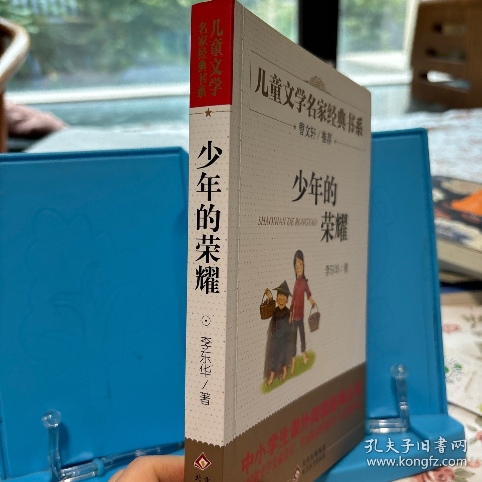 少年的荣耀曹文轩推荐儿童文学经典书系