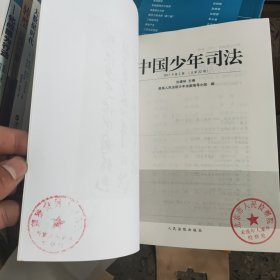 中国少年司法（2017年第2辑 总第32辑）