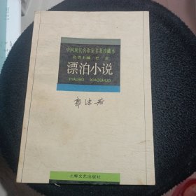 漂泊小说