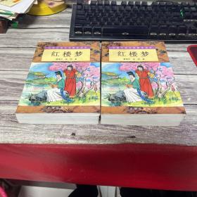 中国古典文学普及读本：红楼梦（上下）