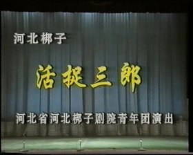 河北梆子 DVD 活捉三郎 王洪玲 王东峰