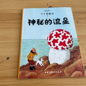 丁丁历险记·神秘的流星