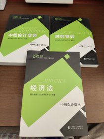 中级会计实务(中级会计资格2024年度全国会计专业技术资格考试辅导教材)3本合售
