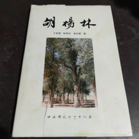 胡杨林