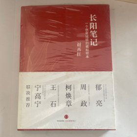 长阳笔记：一个创新城镇的崛起样本