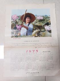 1975年日历（为革命采药大量收购药材）时期的收藏品