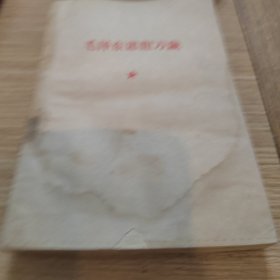 毛泽东思想万岁