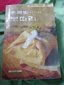 蓝色的包袱 朝鲜文 초 록 빛 보 따 리