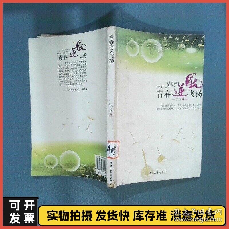 青春逆风飞扬  远方 时代文艺出版社