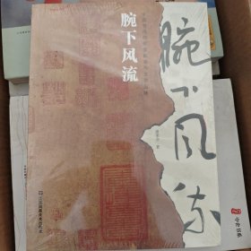 腕下风流-中国书法的美学解读与文学品味