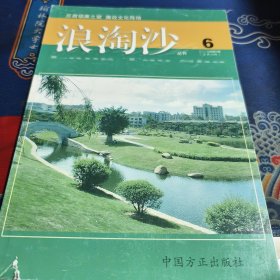 浪淘沙叢書(shū)2009年第六輯（總60輯）