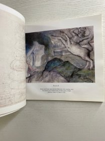 William Blake’s Divine Comedy Illustrations 《威廉·布莱克〈神曲〉插画集》 ，书中包含102幅全彩插画（102 Full - Color Plates ），由多佛出版公司（DOVER PUBLICATIONS, INC)威廉·布莱克是英国著名诗人、画家，这里呈现的是他为但丁《神曲》创作的插画相关内容 。