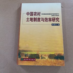 中國農(nóng)村土地制度與效率研究