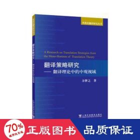 翻译策略研究——翻译理论的中观视域 外语－行业英语 方梦之