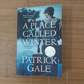 A Place Called Winter《一个叫冬天的地方》，Tinder Press出版，作者Patrick Gale，32开，平装，368页