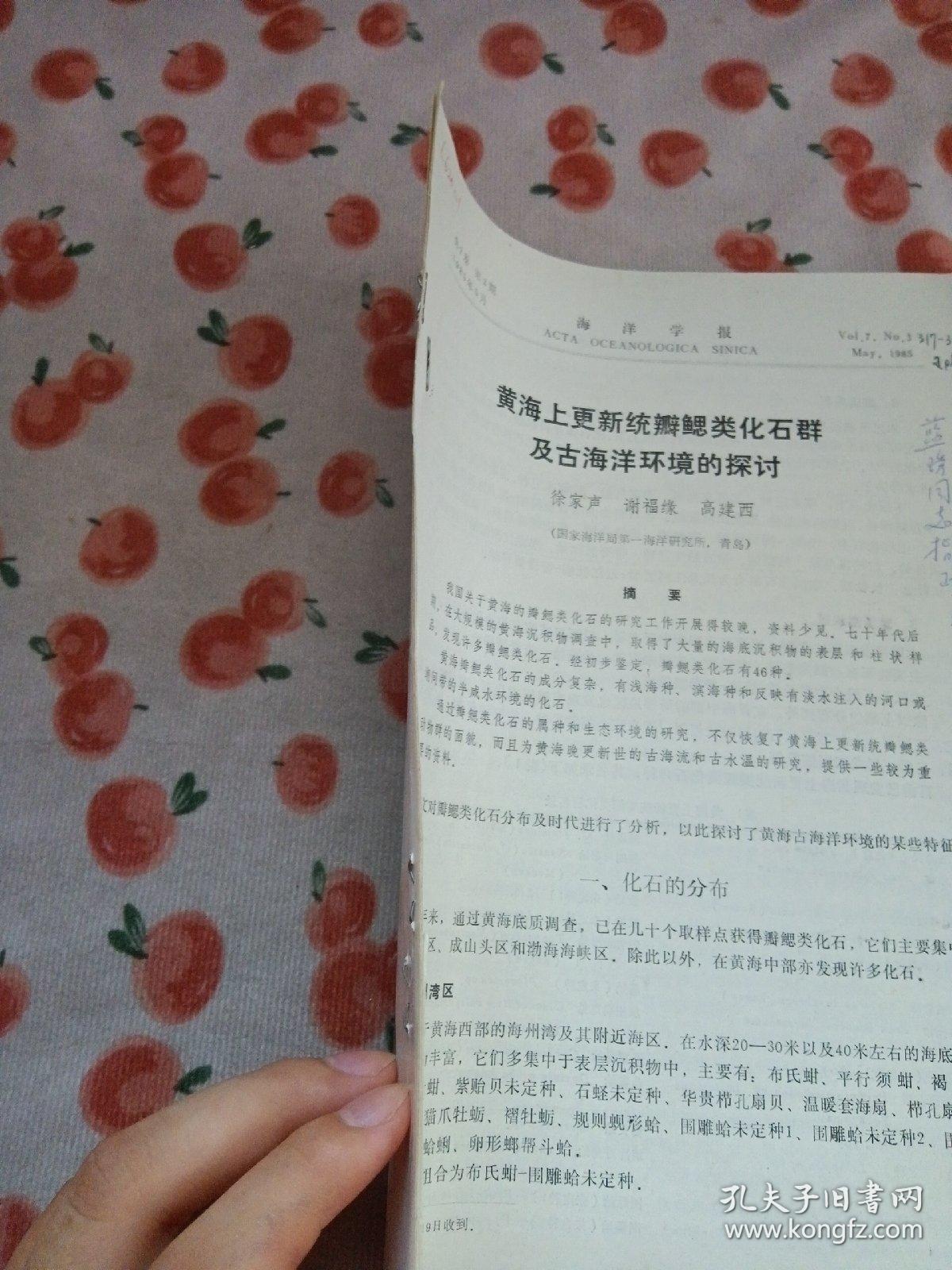 点击查看原图 黄海上更新统瓣鳃类化石群及古海洋环境的探讨