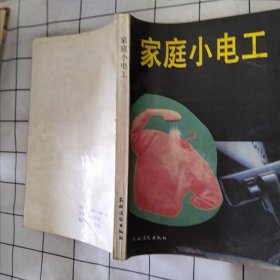 家庭小电工（磨损，污渍，如图）