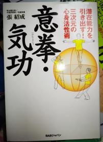 原版 意拳气功 日文版  意拳 大成拳论