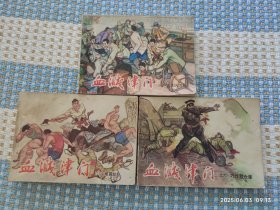 血溅津门 之二，三，六（大闹天津卫，威震敌胆，巧炸敌仓库）