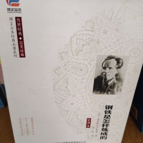 博文全本钢铁是怎样炼成的