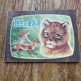 《动物故事：野生的爱尔莎》连环画小人书上海人民美术出版社张景源 肖立 绘