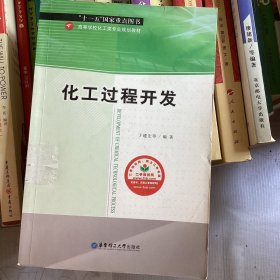 高等学校化工类专业规划教材：化工过程开发