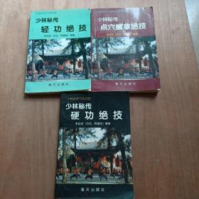 少林武术气功功法教材系列:少林秘传点穴擒拿绝技、少林秘传轻功绝技、少林秘传硬功绝技（三册合售）