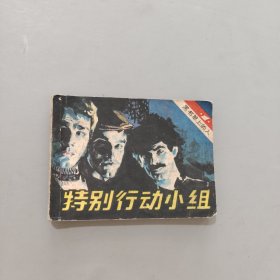 特別行動(dòng)小組