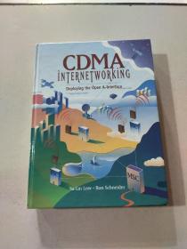 CDMA INTERNETWORKING:cdma互连