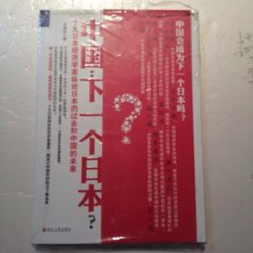 中國下一個日本   未開封