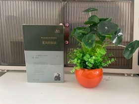 夏天的知识（美国现代诗人德尔莫尔·施瓦茨中译本诗集，在知识、理性、想象之间找到诗意的平衡，荣获博林根诗歌奖）