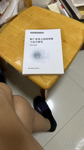 刑法分则解释与判例研究丛书：财产犯罪之间的界限与竞合研究