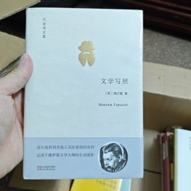 文学写照