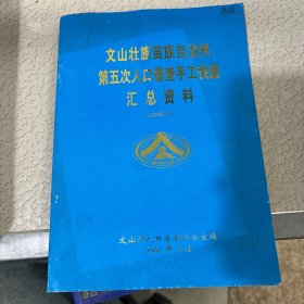 文山壮族苗族自治州第五次人口普查手工快速汇总资料 2000年