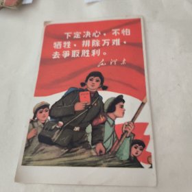 下定决心，不怕牺牲，排除万难，去争取胜利