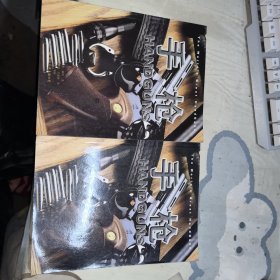 世界名枪：手枪上下册