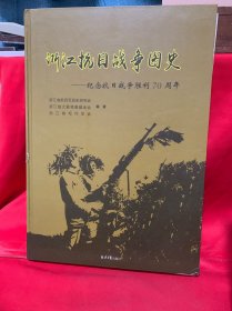 浙江抗日战争图史