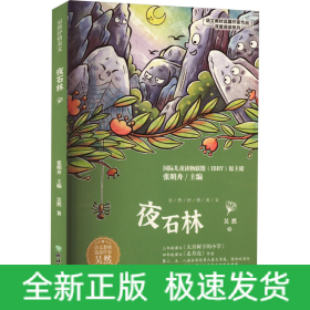 夜石林