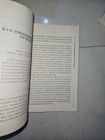 网络心理与行为译丛：青少年在线社会沟通与行为网络关系的形成
