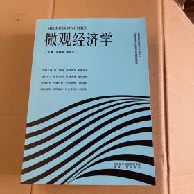 微观经济学/高等院校经济学·管理学“十三五”规划教材