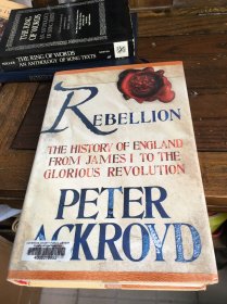 彼得·阿克罗伊德《叛乱：从詹姆斯一世到光荣革命的英国历史》  Rebellion: The History of England from James I to the Glo