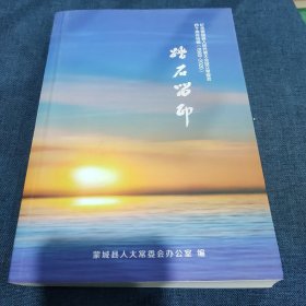 踏石留印 纪念蒙城县人民代表大会设立常委会四十周年特辑1980-2020年