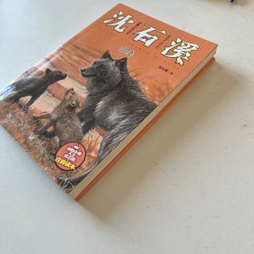 动物小说大王沈石溪：狼妻（注音读本）