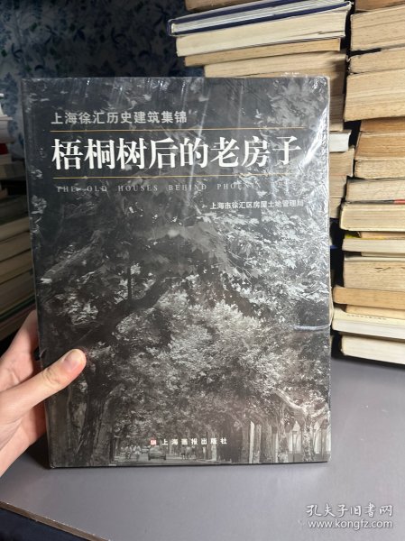 梧桐树后的老房子(2)：上海徐汇历史建筑集锦