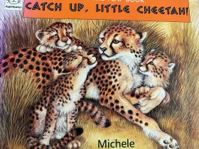 CATCH UP，LITTLE CHEETAH！