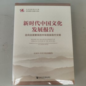 新时代中国文化发展报告