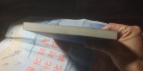 越南国情报告2011